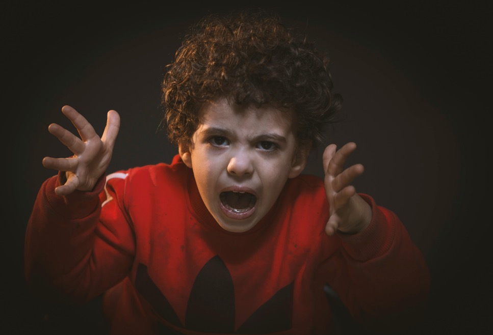 Understanding Emotions